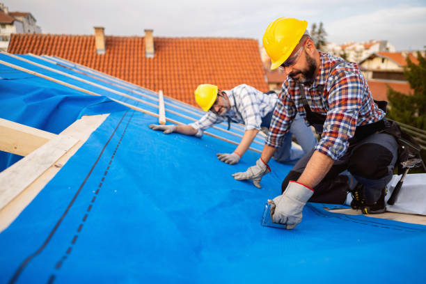 Best Roof Repair Services  in Warrensburg, IL