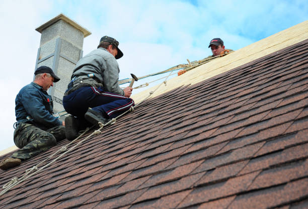 Best Roofing Contractor Near Me  in Warrensburg, IL