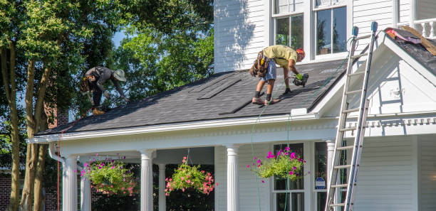 Best Flat Roof Repair Services  in Warrensburg, IL