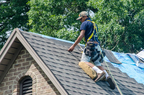 Roof Gutter Cleaning in Warrensburg, IL